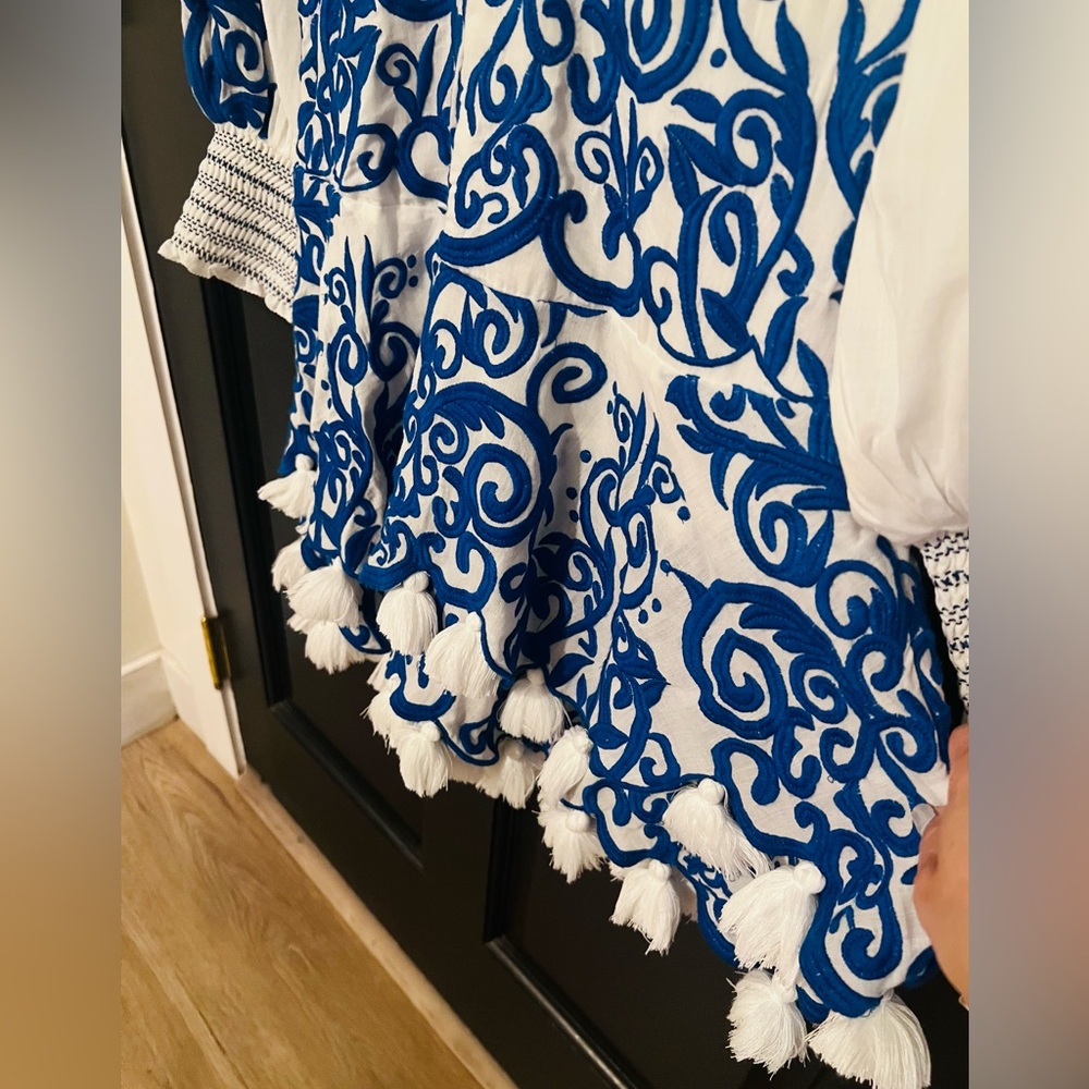Alice+Olive Embroidered Blue and White Dress - Picture 3 of 16